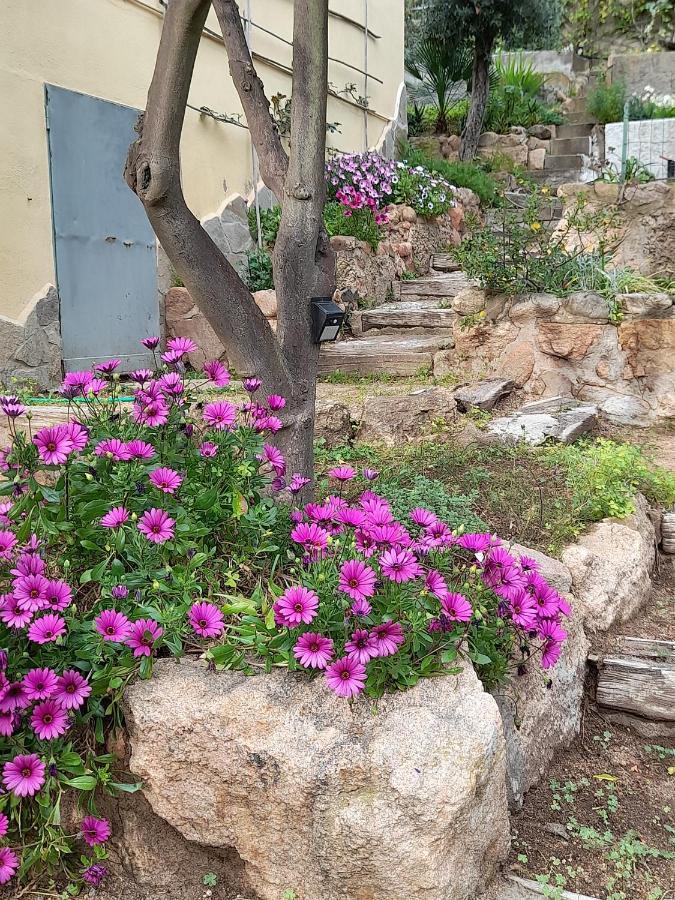 Invit Arti B&B Capoterra Exterior foto